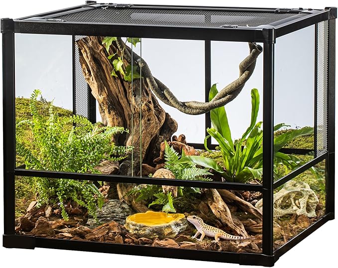 Glass reptile terrarium with branches, plants, and substrate set up for a leopard gecko